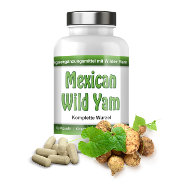 Mexican Wild Yam Kapseln pure Wurzel hier kaufen