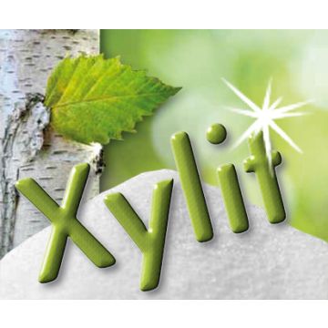 Xylit Xylitol Birkenzucker STARTER-SET